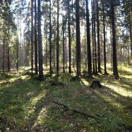 Ferienhaus Holiday Ahti, Leppaniemen Hirsihuvilat *